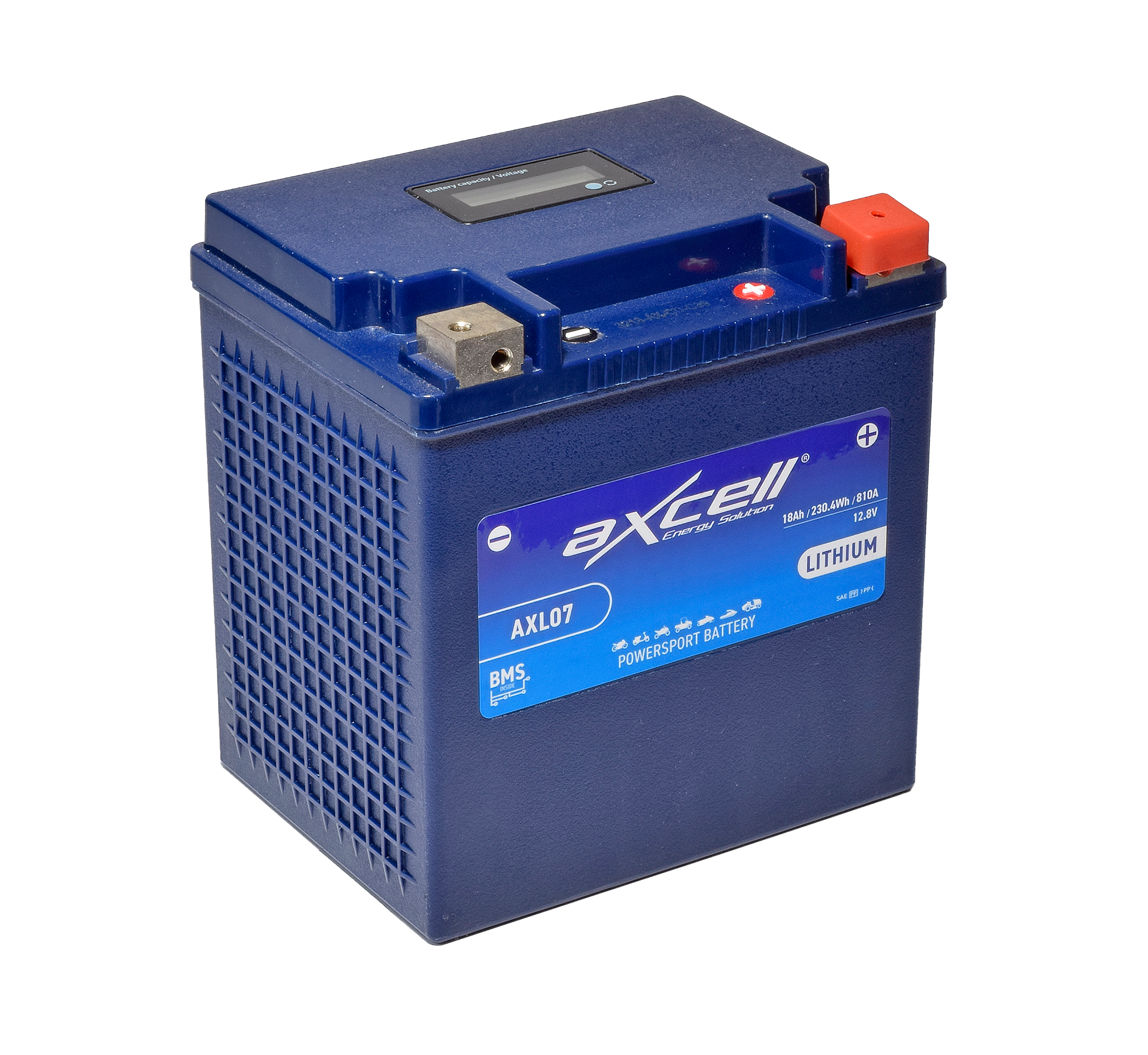 Lithium Ion Batteries
